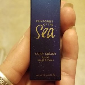 Rainforest of the sea